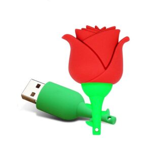 USB-minne 16 GB - Röd ros