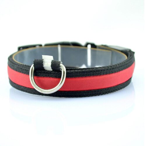 LED Lysande Halsband till hund - Flera färger
